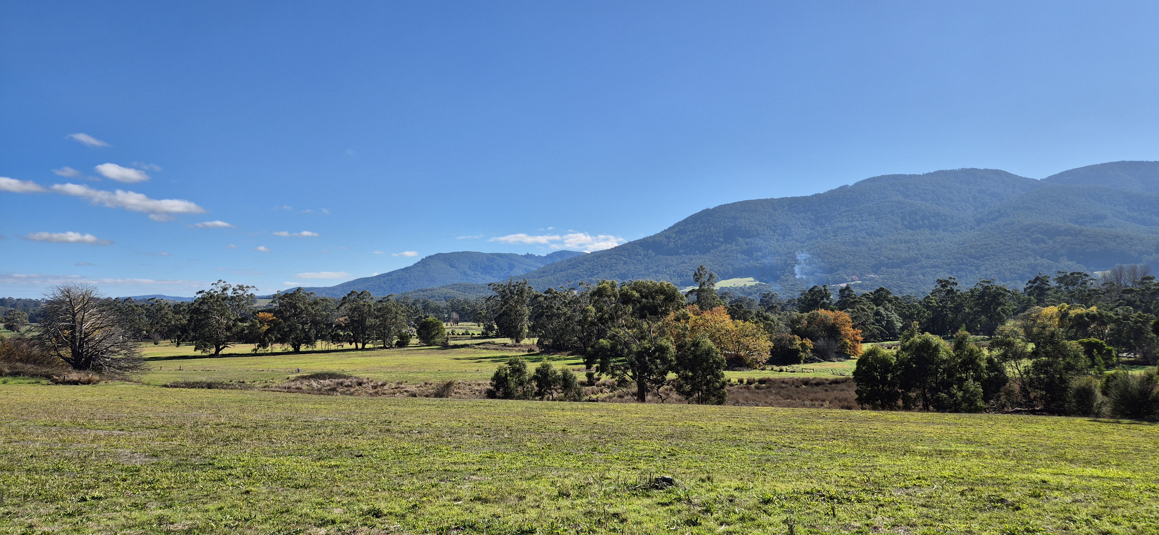 Featured property
