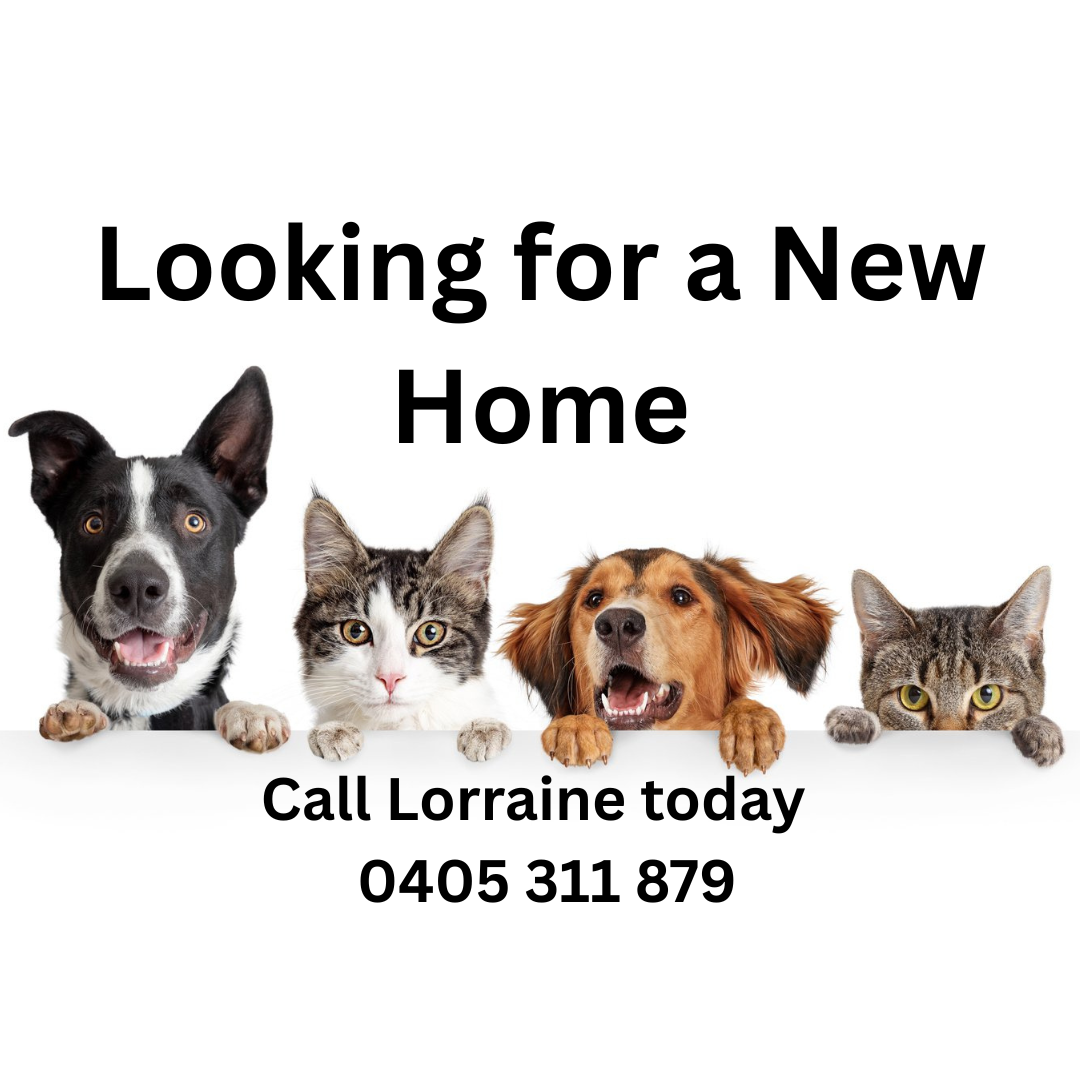 Featured property