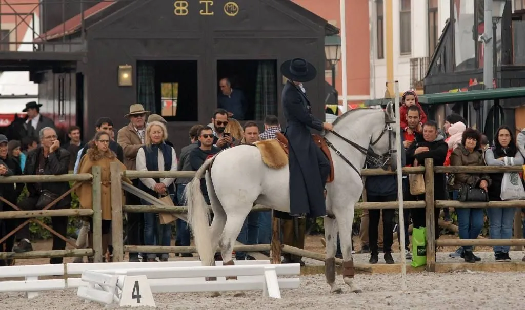 THE EQUESTRIAN INDUSTRY IS CHANGING AND GLOBALLY