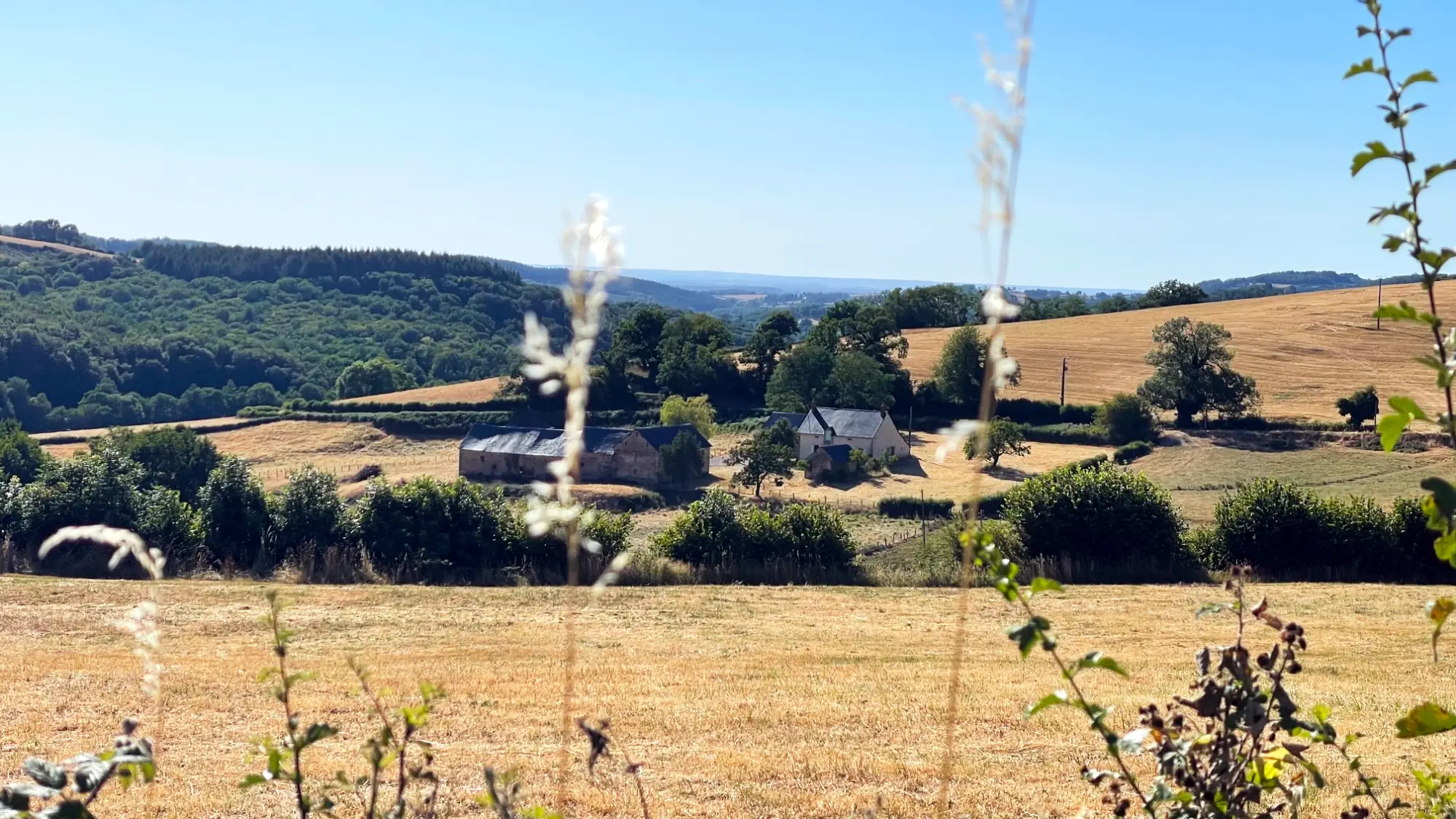 Featured property