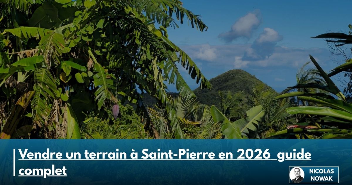 Vendre un terrain à Saint-Pierre en 2026 : bornage, PLU et valeur foncière