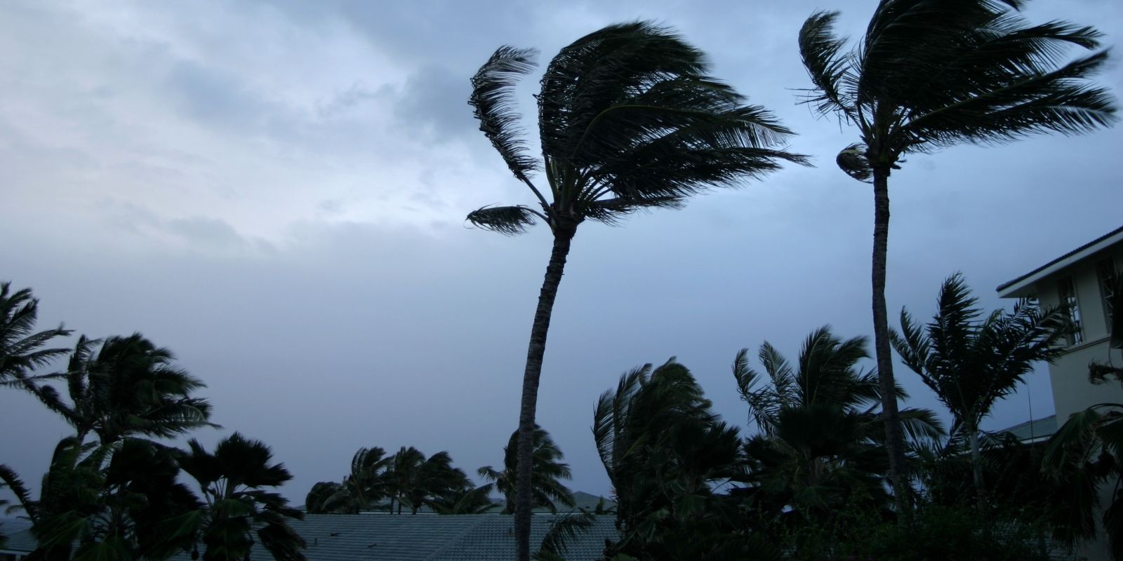 Cómo funciona el proceso de reclamo de seguro tras un huracán en Punta Cana
