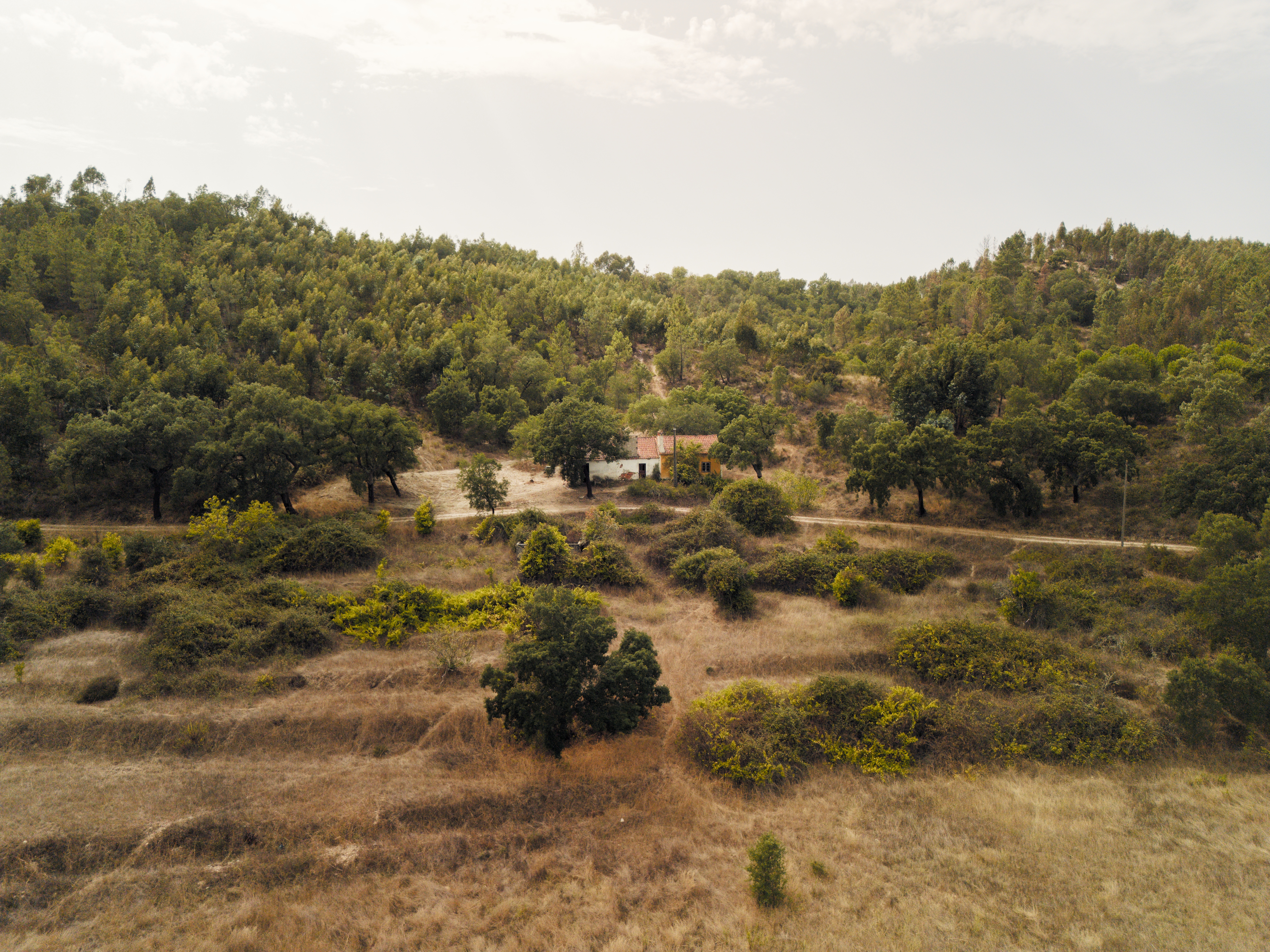 Beyond Big Money: Why I Still Believe in The People’s Portugal