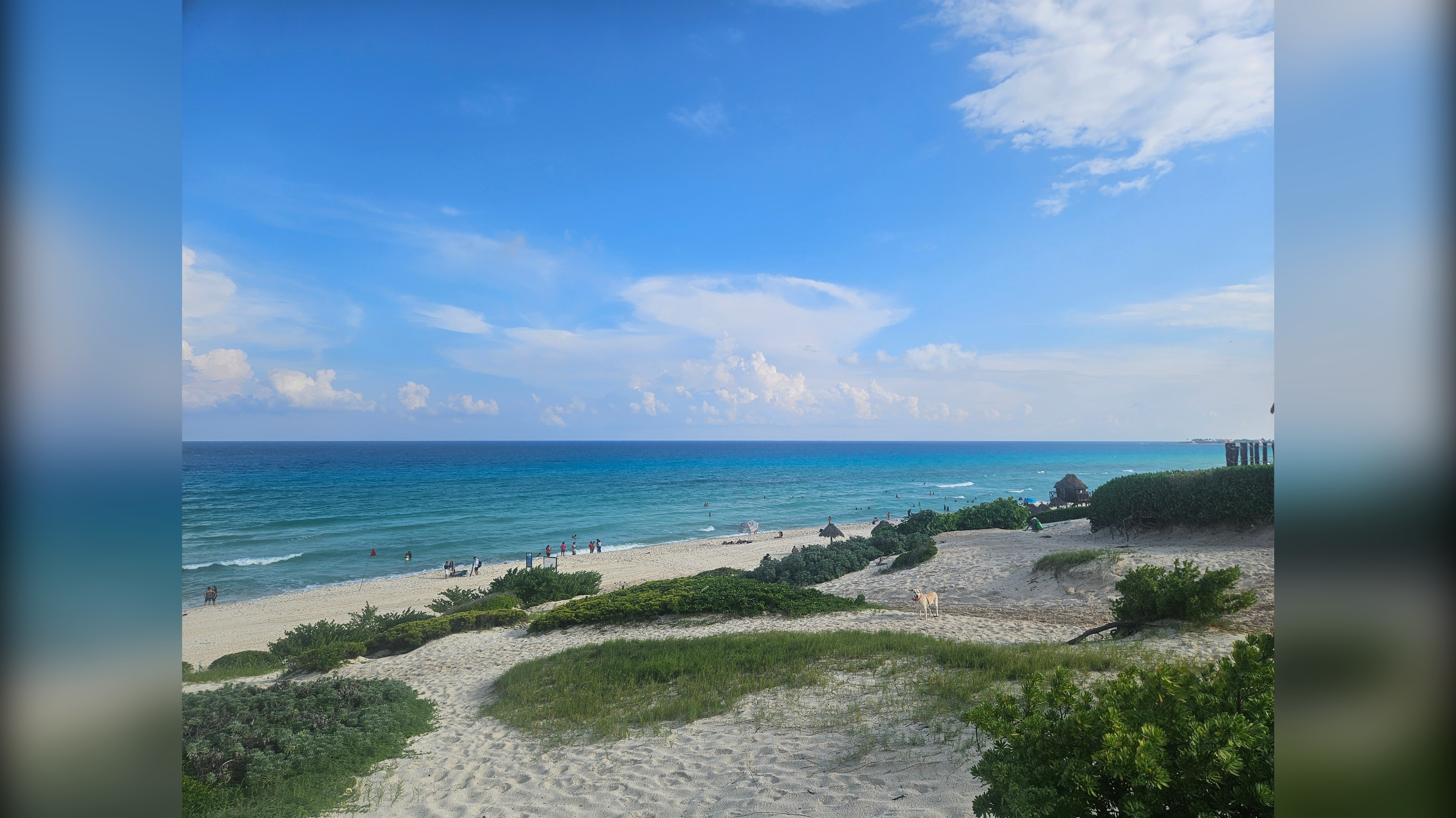 Featured property