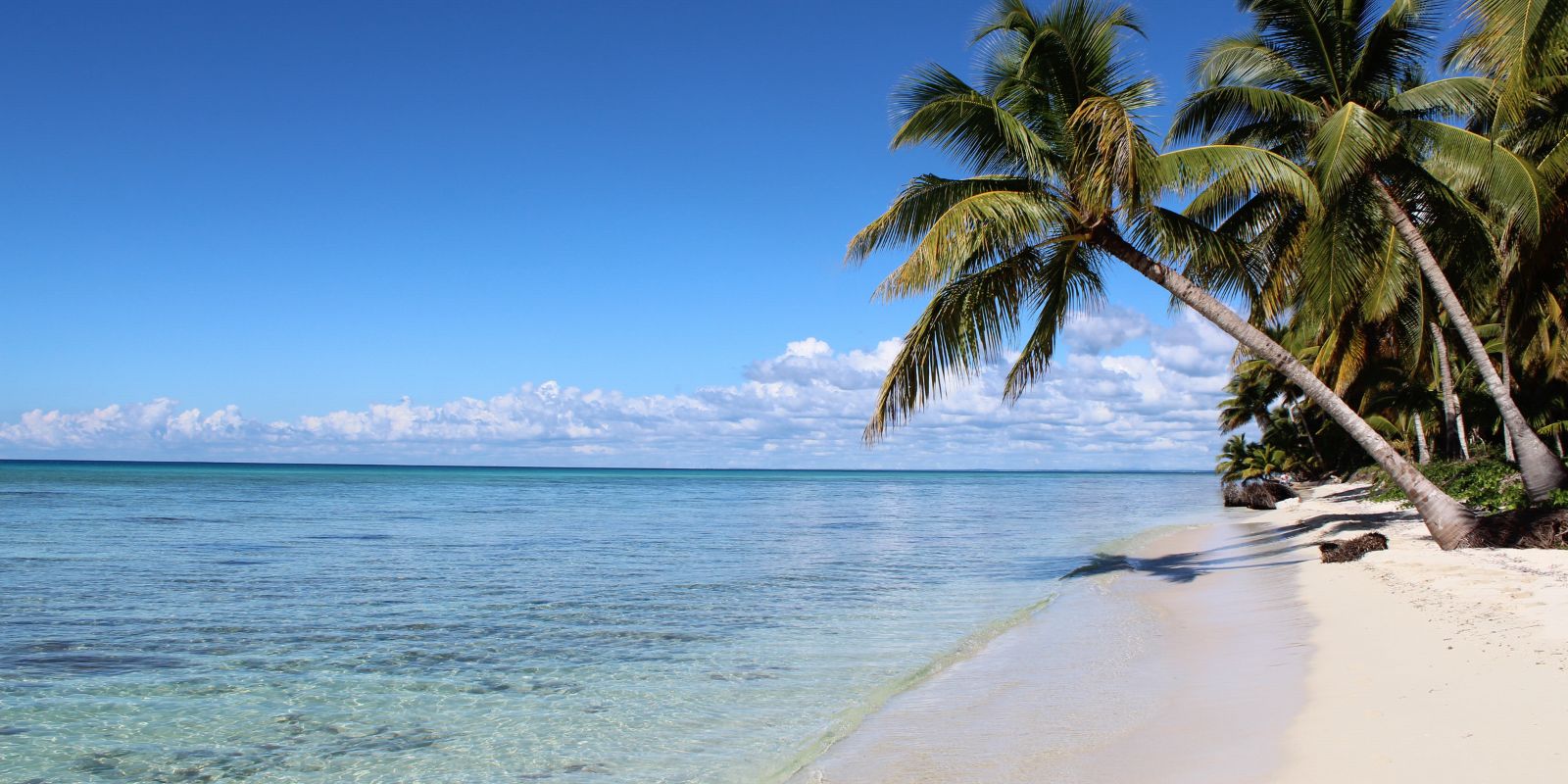 Isla Saona desde Punta Cana: cómo organizar la escapada y qué esperar si vives aquí