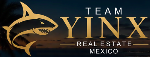 Team Yinx logo